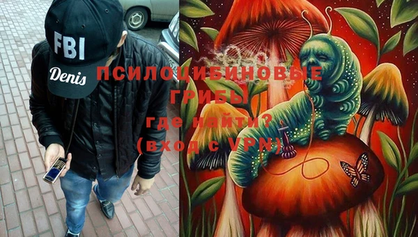 таблы Бикин