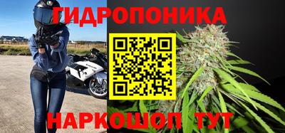 каннабис Тверь