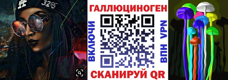 Галлюциногенные грибы Psilocybine cubensis  Светлоград 